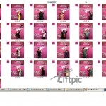 Hebefigurenwettbewerb "online" über unser Webinterface im Bildkalender